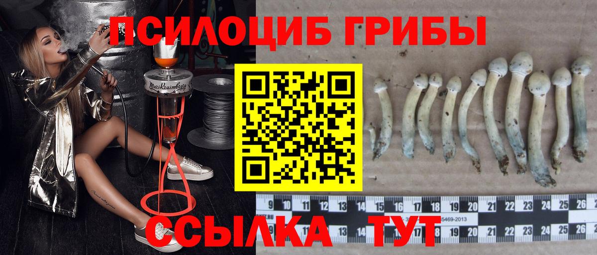 Галлюциногенные грибы Magic Shrooms Муром