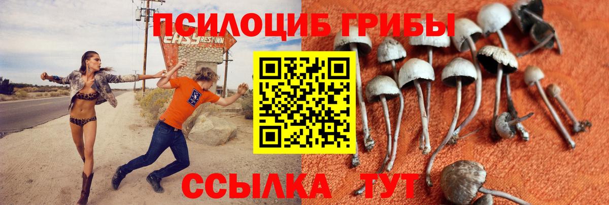 Псилоцибиновые грибы Cubensis  Псилоцибиновые грибы прущие грибы  купить  сайты  Муром  Вход с VPN 